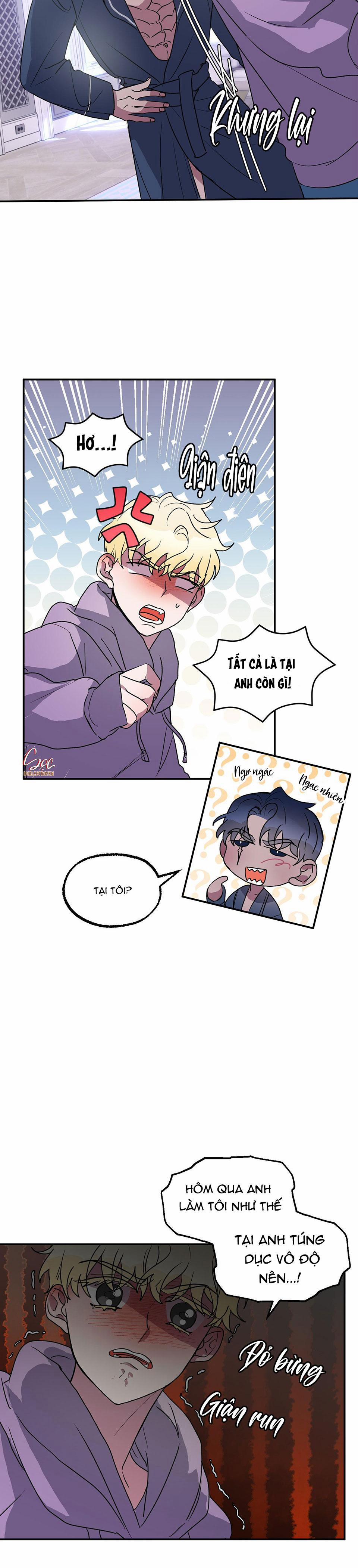 CÁ MẬP VÀ CÔ DÂU THỎ 5 trang 4