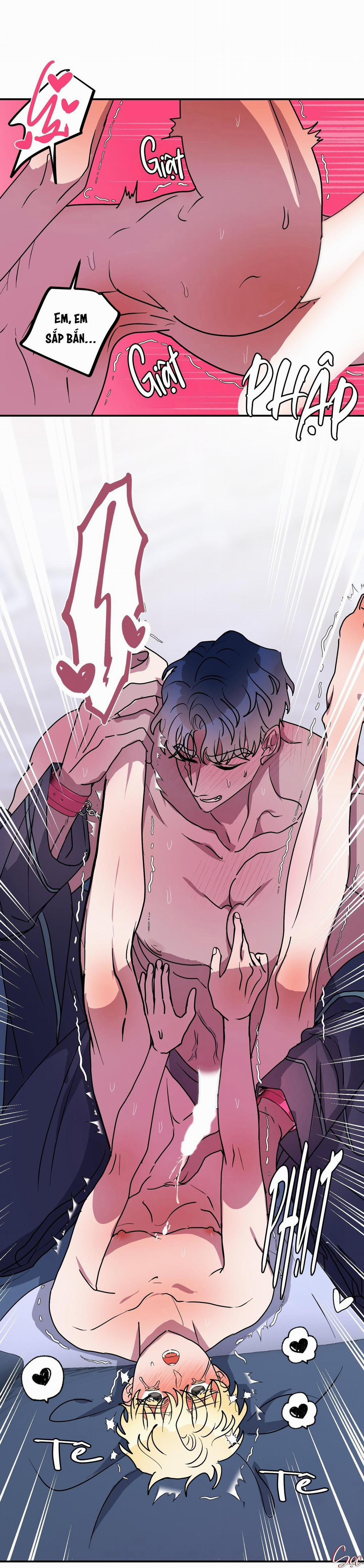 CÁ MẬP VÀ CÔ DÂU THỎ 51 trang 16