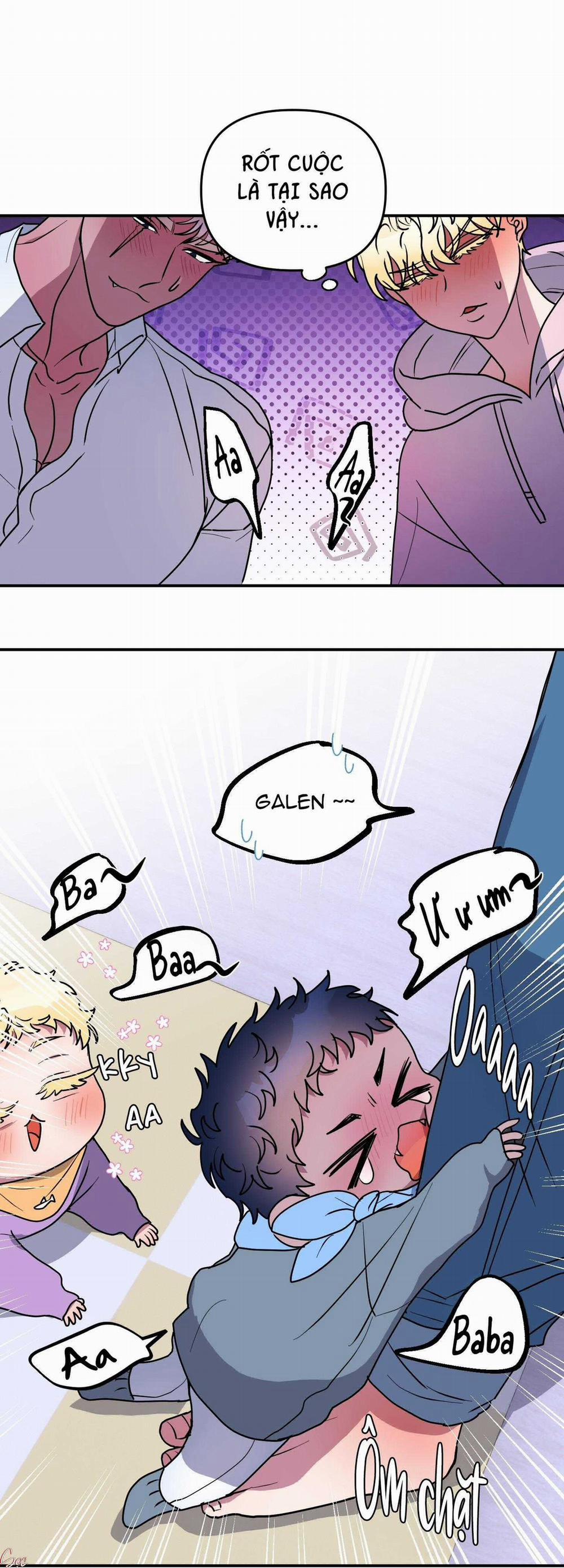 CÁ MẬP VÀ CÔ DÂU THỎ 52 trang 40