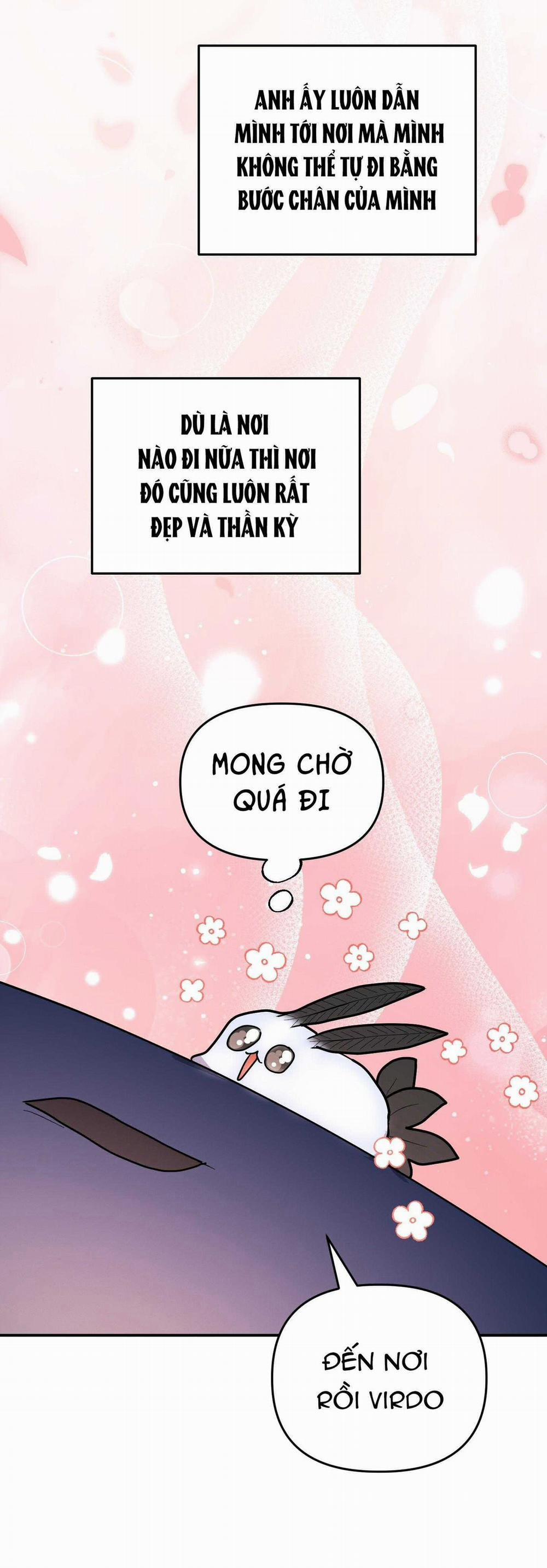 CÁ MẬP VÀ CÔ DÂU THỎ 53 trang 27