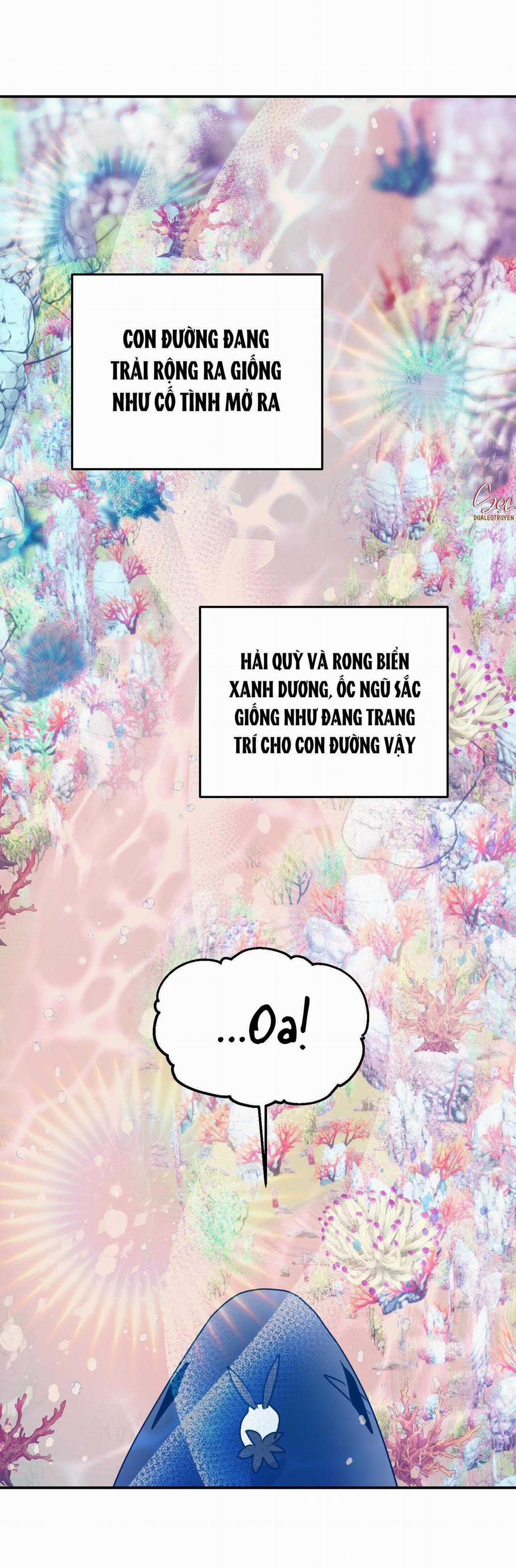 CÁ MẬP VÀ CÔ DÂU THỎ 53 trang 29