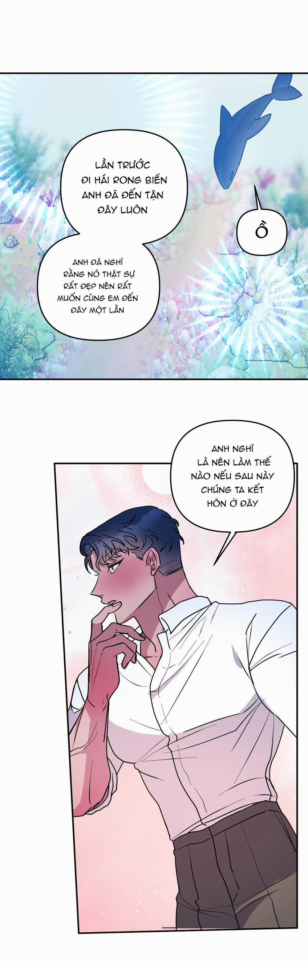 CÁ MẬP VÀ CÔ DÂU THỎ 53 trang 32