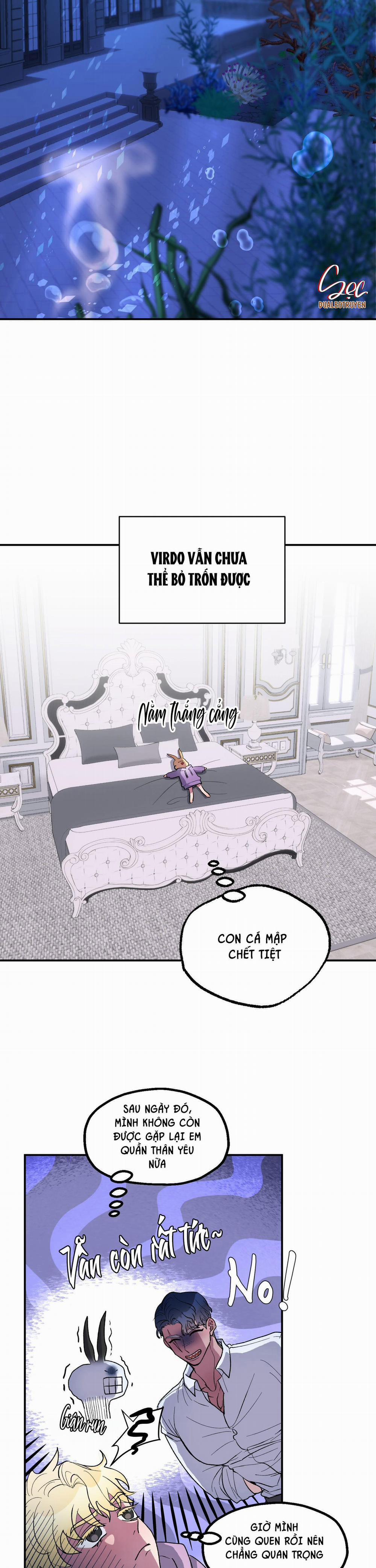 CÁ MẬP VÀ CÔ DÂU THỎ 6 trang 9