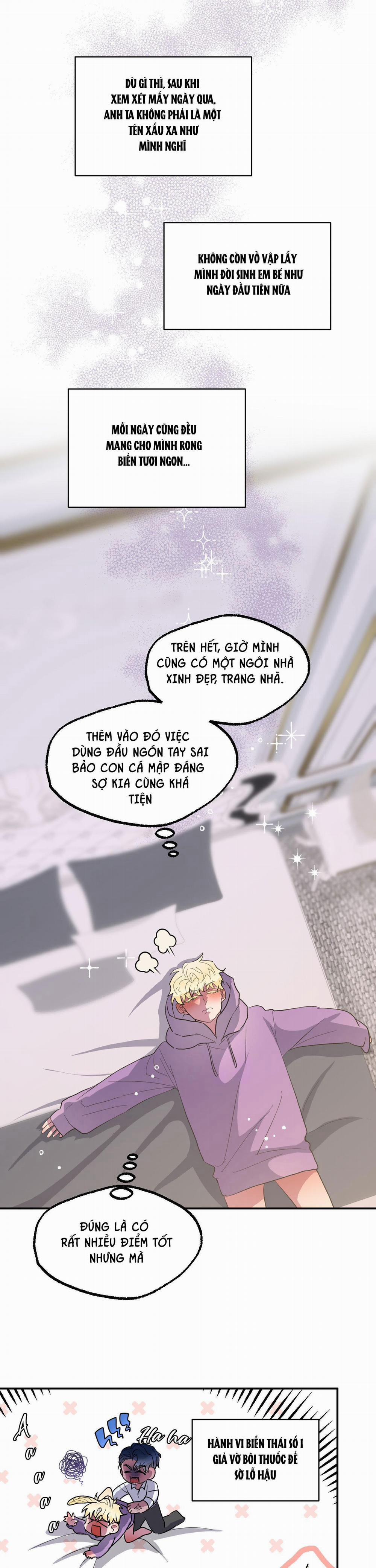 CÁ MẬP VÀ CÔ DÂU THỎ 6 trang 11