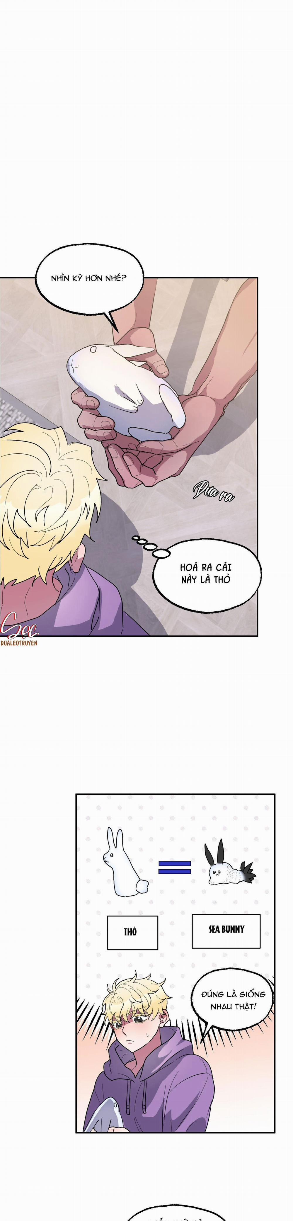 CÁ MẬP VÀ CÔ DÂU THỎ 6 trang 15