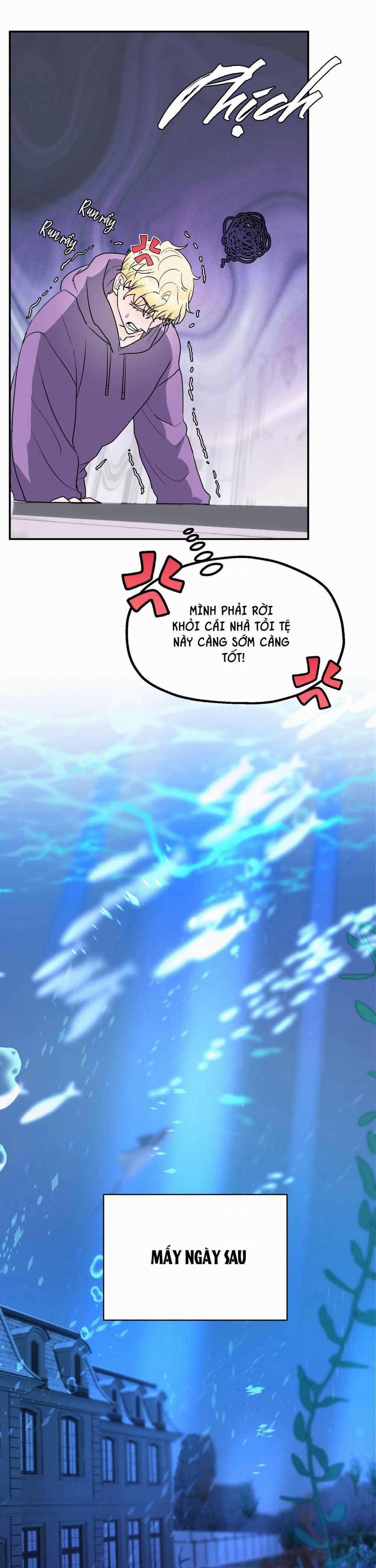 CÁ MẬP VÀ CÔ DÂU THỎ 6 trang 8