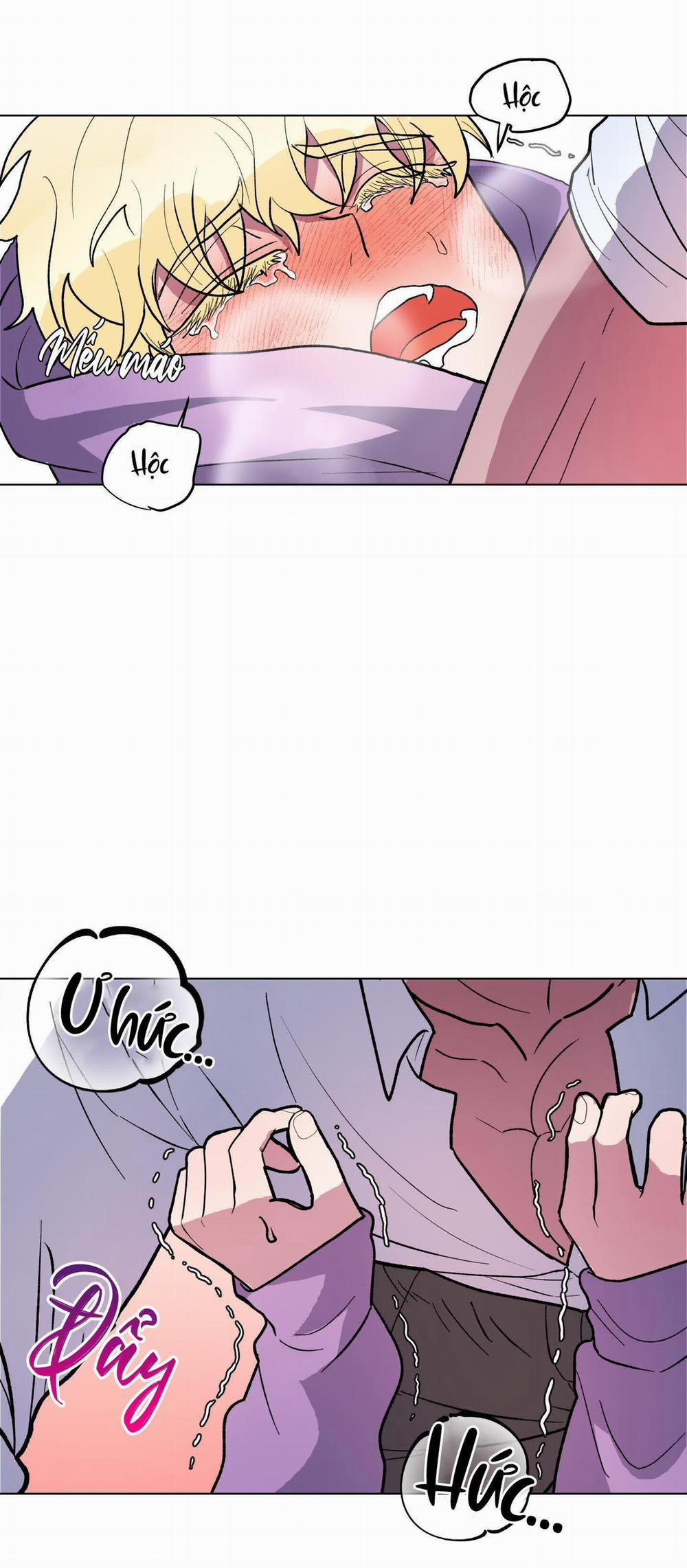 CÁ MẬP VÀ CÔ DÂU THỎ 7 trang 11