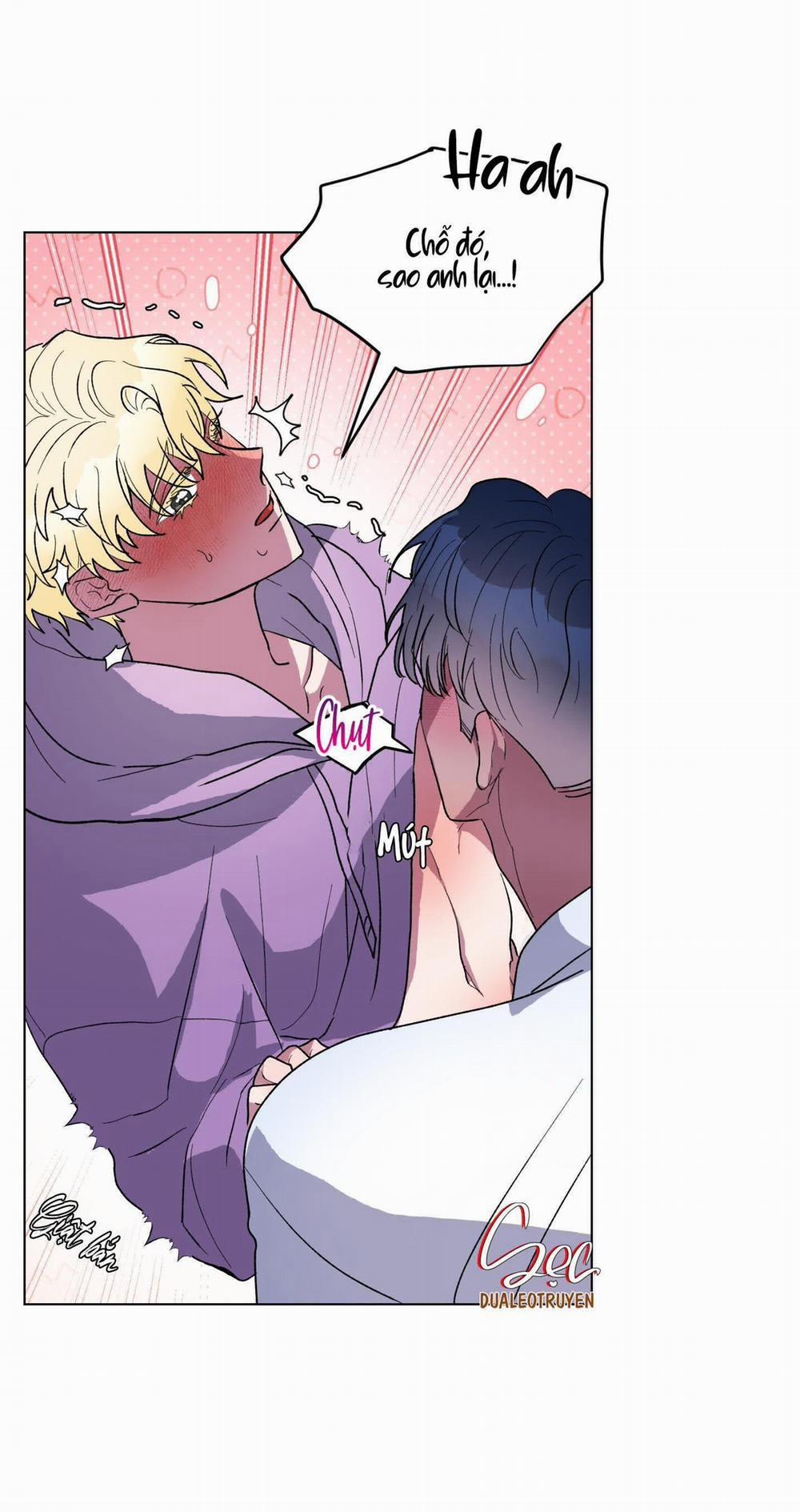 CÁ MẬP VÀ CÔ DÂU THỎ 7 trang 16