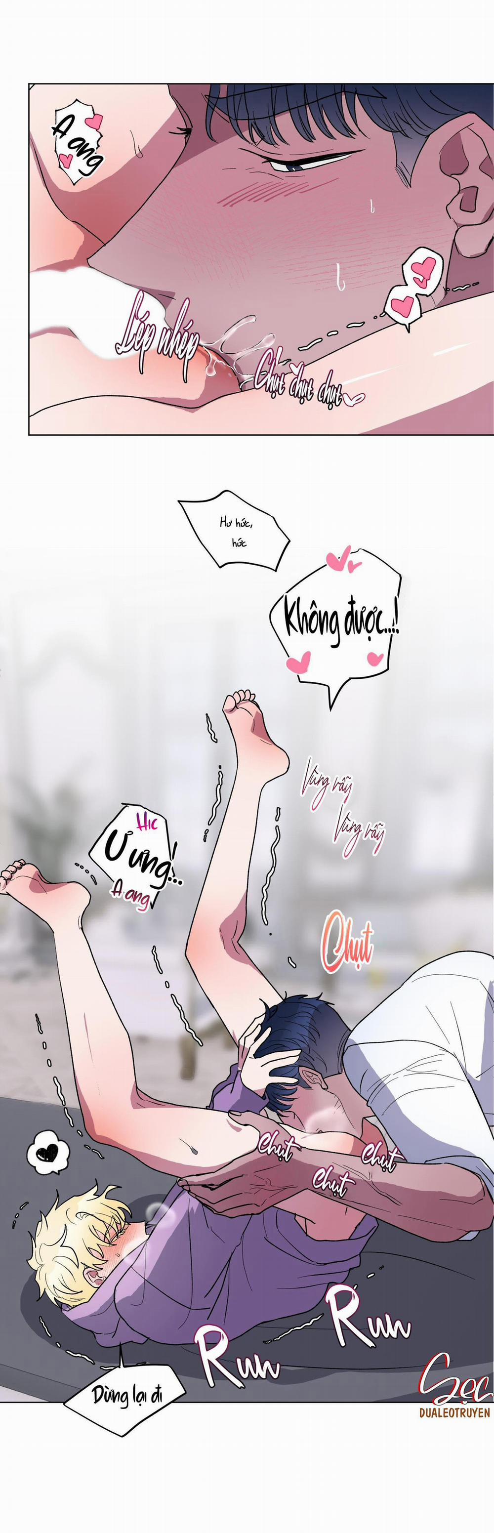 CÁ MẬP VÀ CÔ DÂU THỎ 7 trang 26