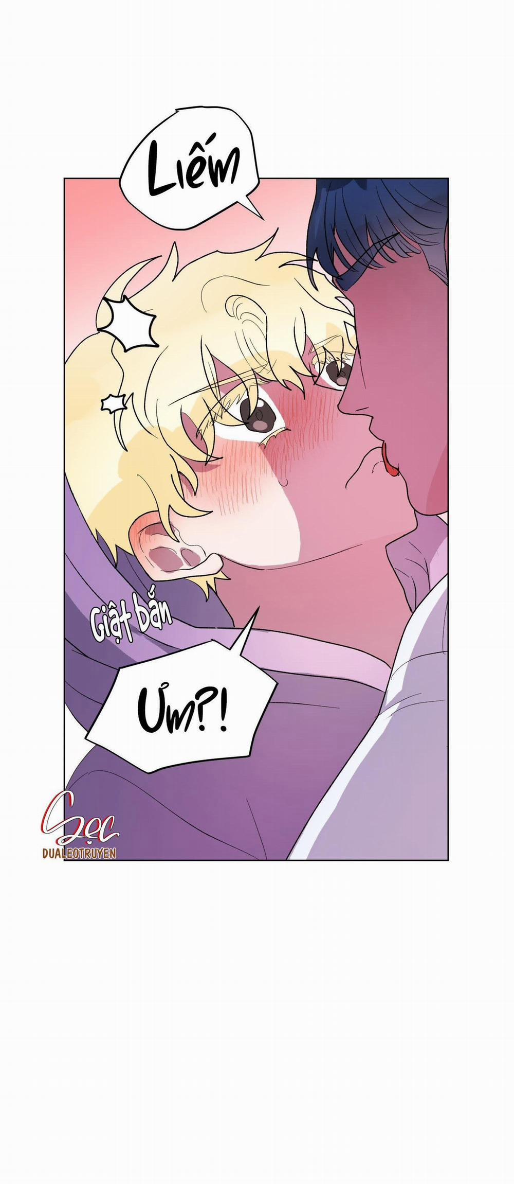 CÁ MẬP VÀ CÔ DÂU THỎ 7 trang 5
