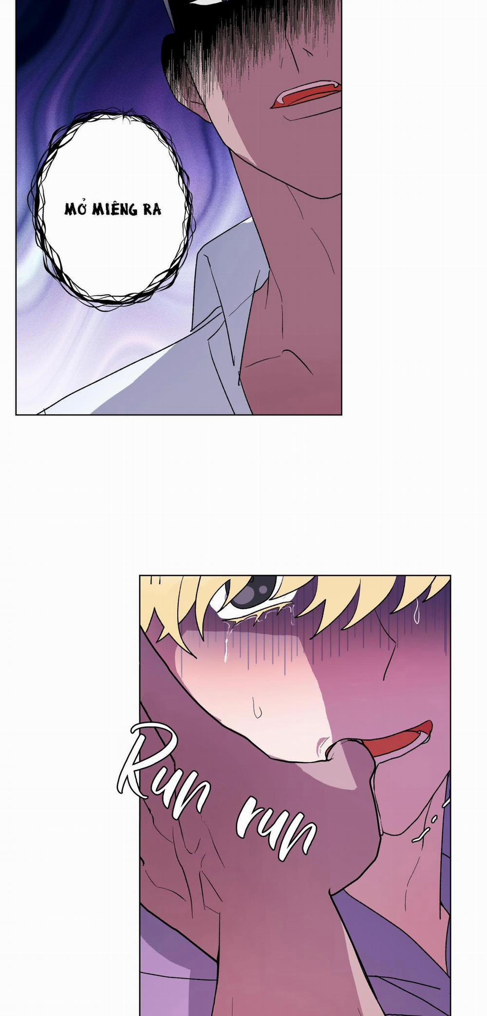 CÁ MẬP VÀ CÔ DÂU THỎ 8 trang 9