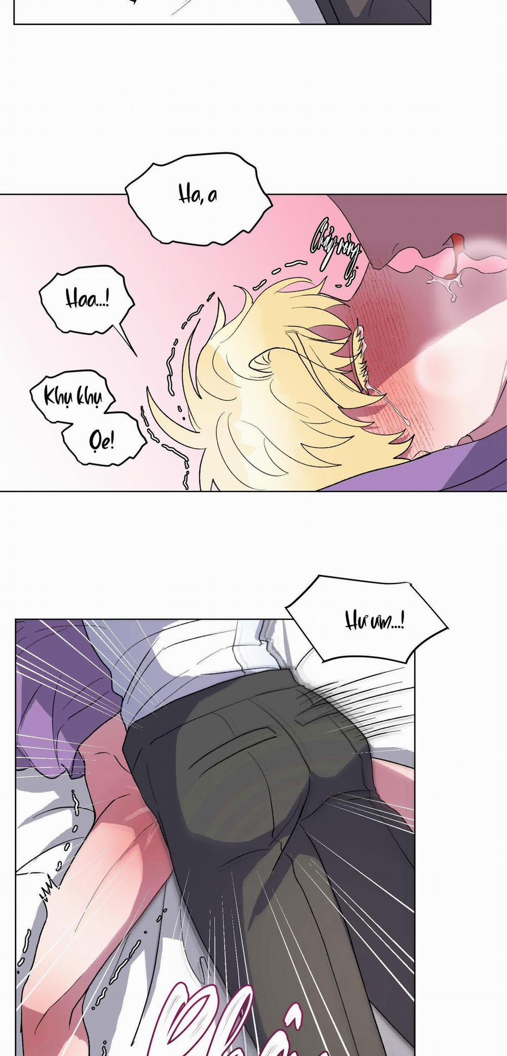 CÁ MẬP VÀ CÔ DÂU THỎ 8 trang 13