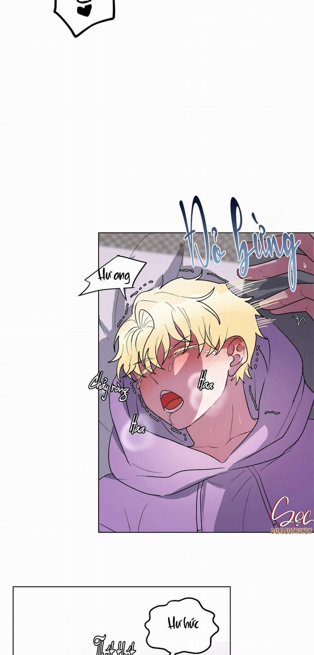 CÁ MẬP VÀ CÔ DÂU THỎ 8 trang 23