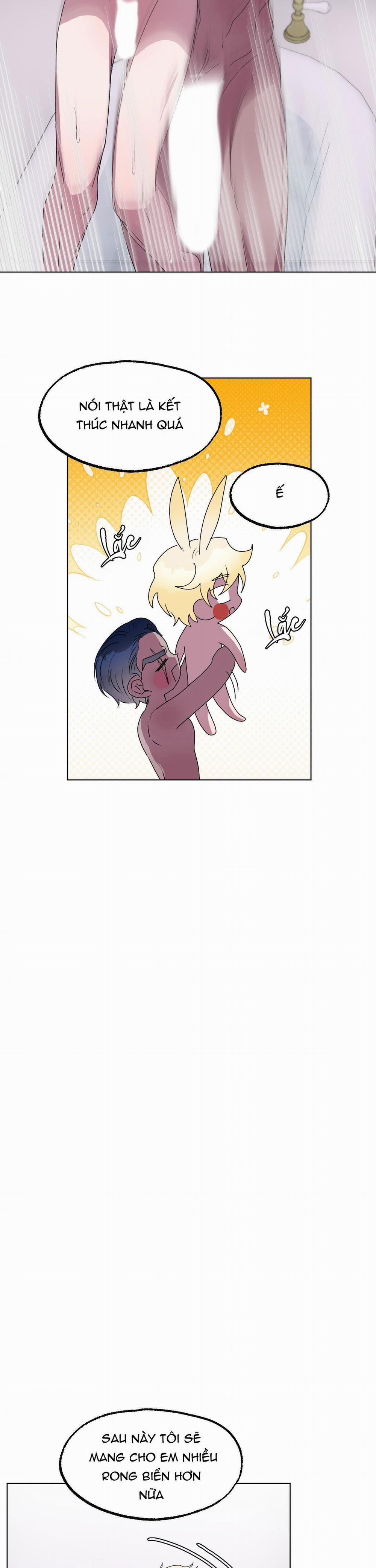 CÁ MẬP VÀ CÔ DÂU THỎ 9 trang 18