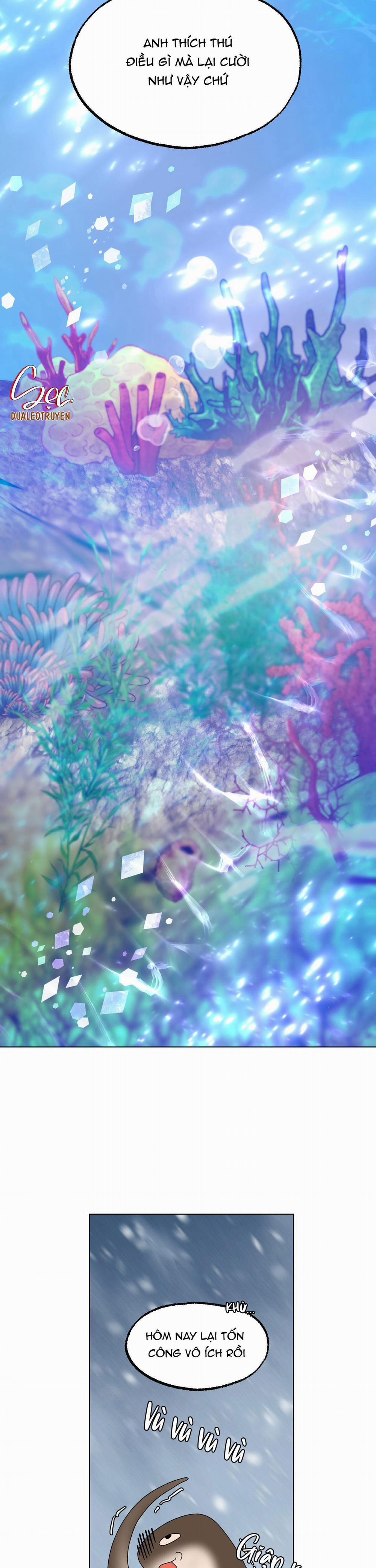 CÁ MẬP VÀ CÔ DÂU THỎ 9 trang 24