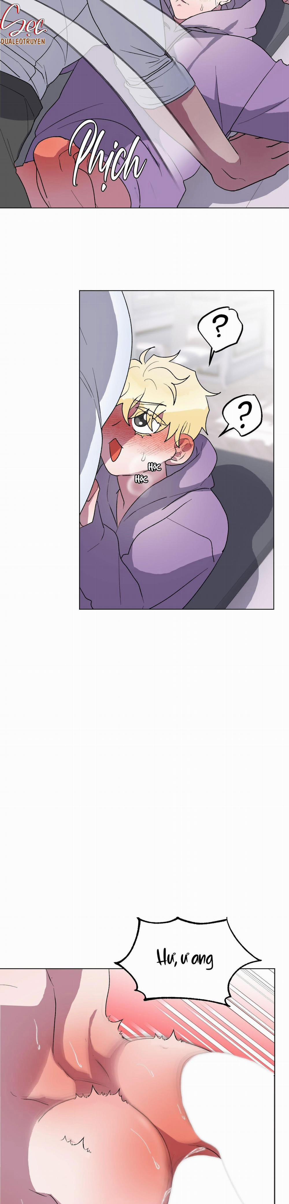 CÁ MẬP VÀ CÔ DÂU THỎ 9 trang 5