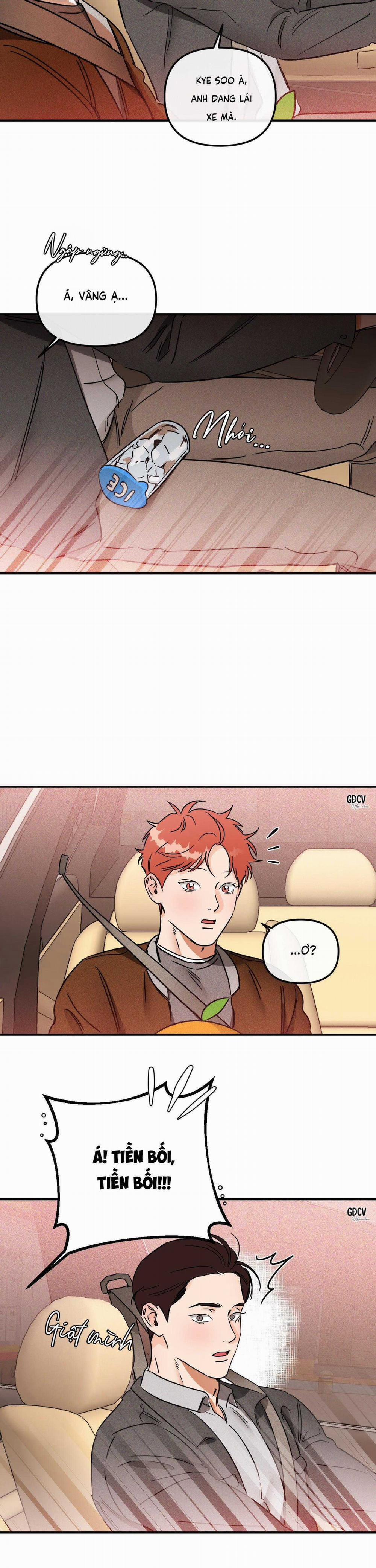 Cá Minh Thái Khô Quắt Rồi! 37 trang 24