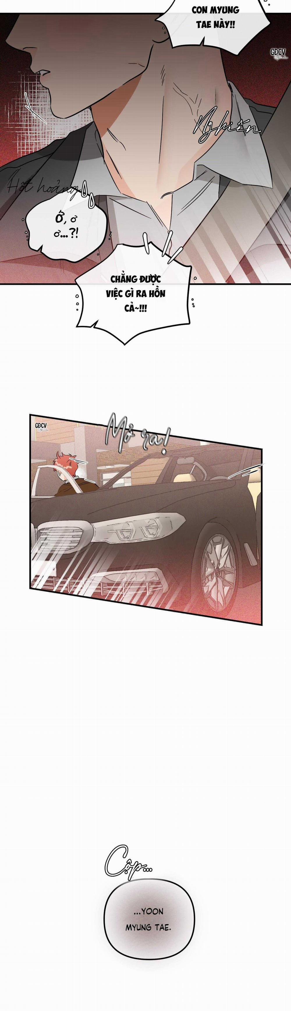 Cá Minh Thái Khô Quắt Rồi! 38 trang 23