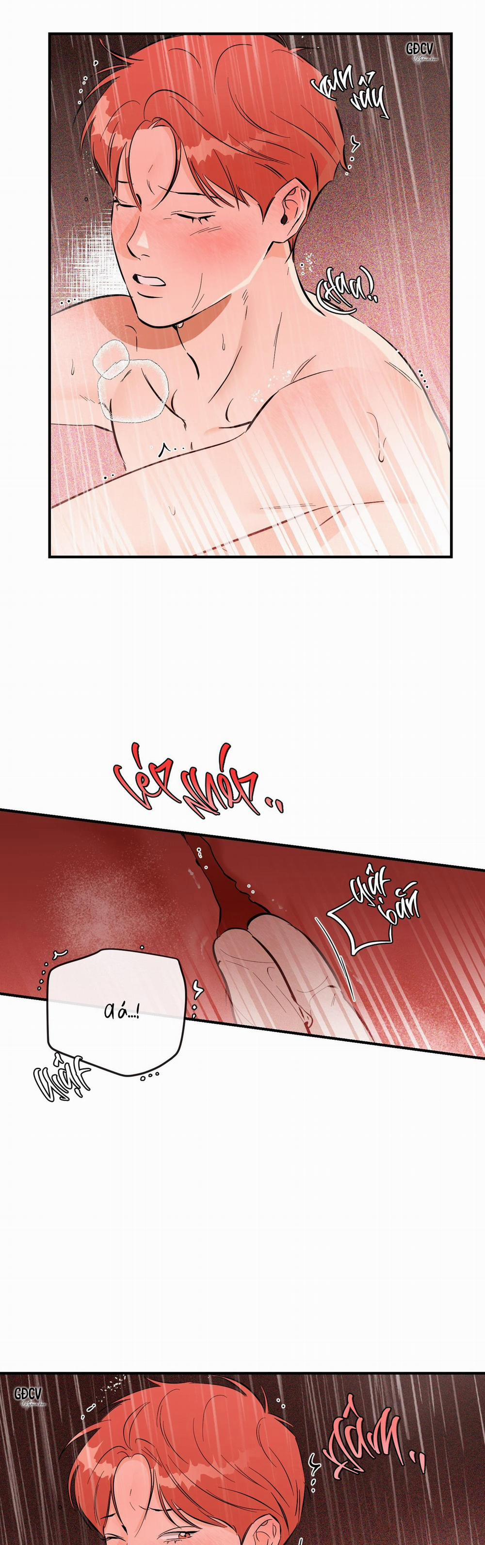 Cá Minh Thái Khô Quắt Rồi! 41 0 trang 1