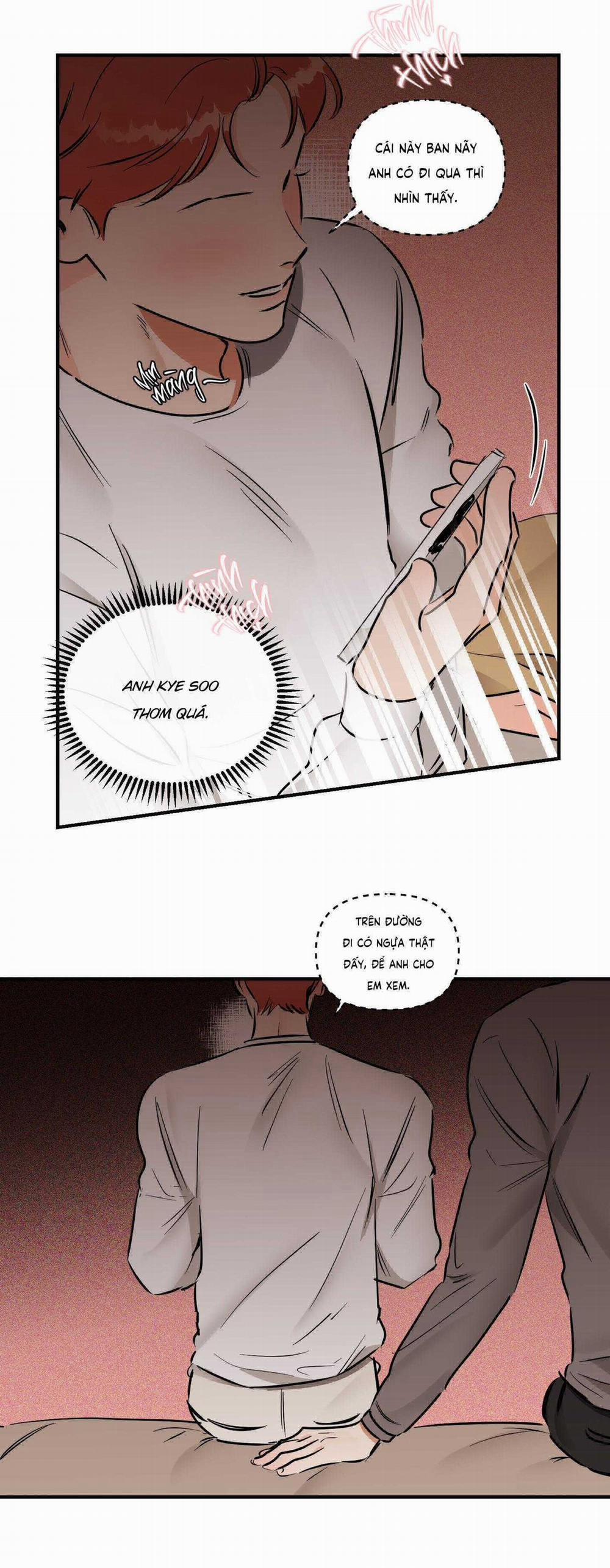 Cá Minh Thái Khô Quắt Rồi! 44 trang 4