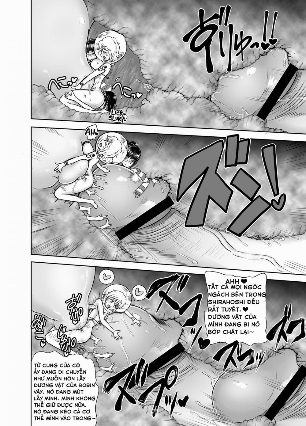 Cách để tạo ra em bé (One Piece) Chương Oneshot Trang 14