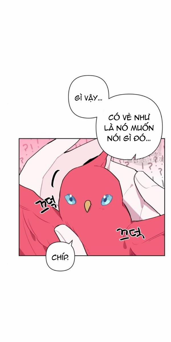 Cách Mà Pháp Sư Đối Mặt Với Cái Chết 5.1 trang 8