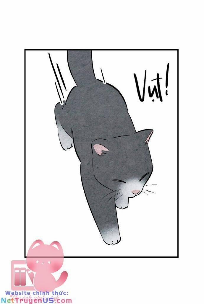 Cách Trêu Chọc Cậu Ấy 7 trang 11