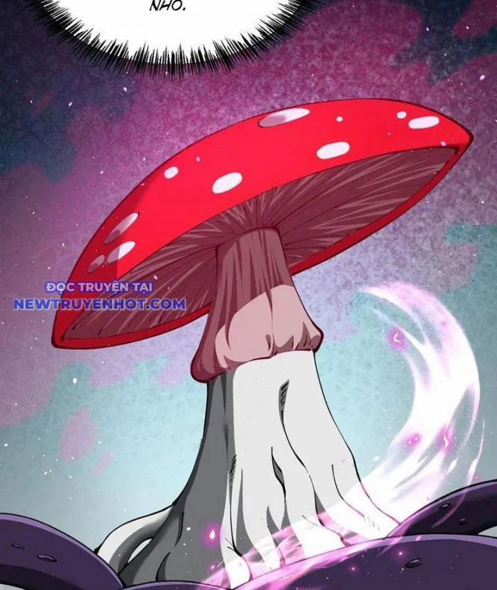 Cái Bóng Phản Bội Của Gia Tộc 38 trang 62