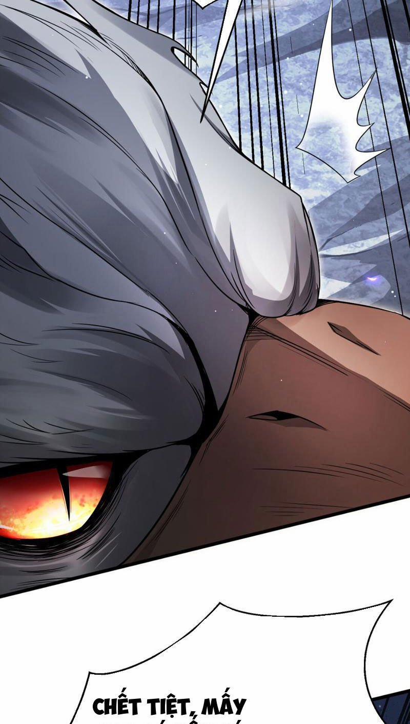 Cái Bóng Phản Bội Của Gia Tộc 5 trang 17