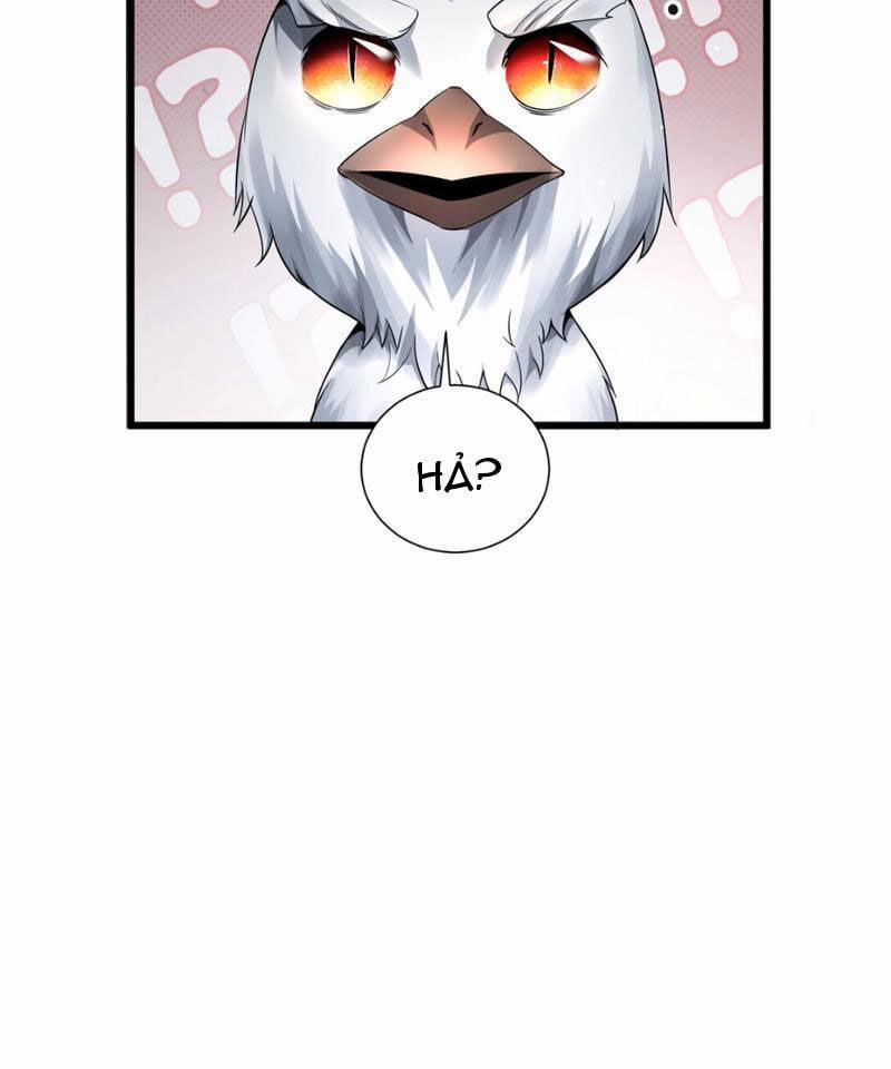 Cái Bóng Phản Bội Của Gia Tộc 7 trang 13