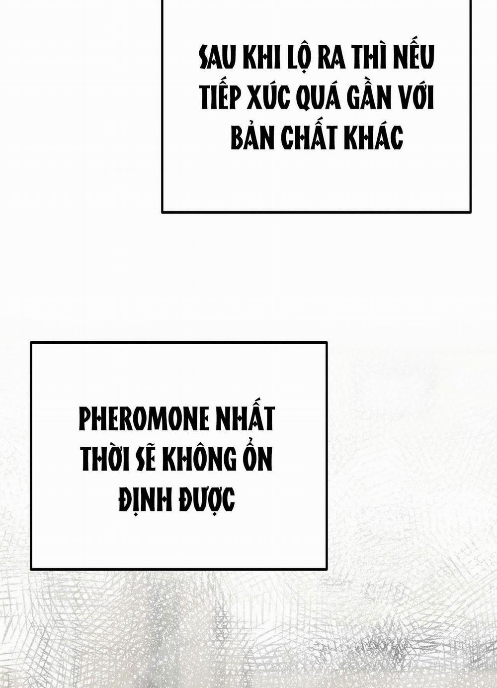 Cạm Bẫy Đại Học 24 trang 23