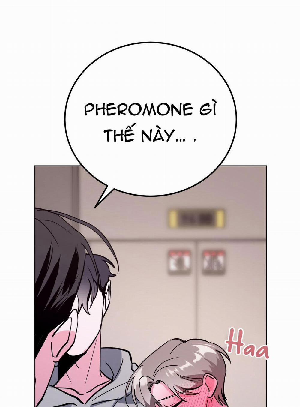 Cạm Bẫy Đại Học 27 trang 10