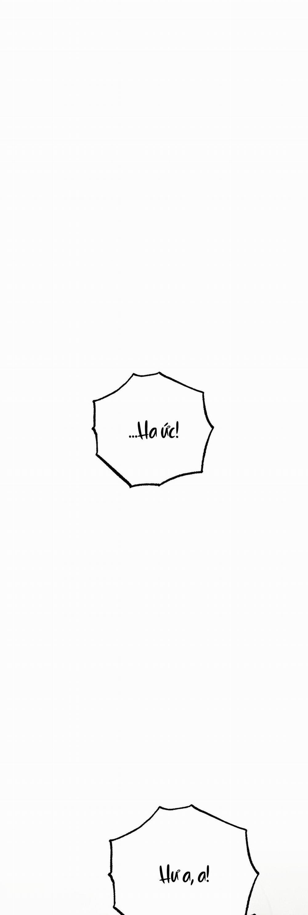 Cạm Bẫy Đại Học 41 trang 1