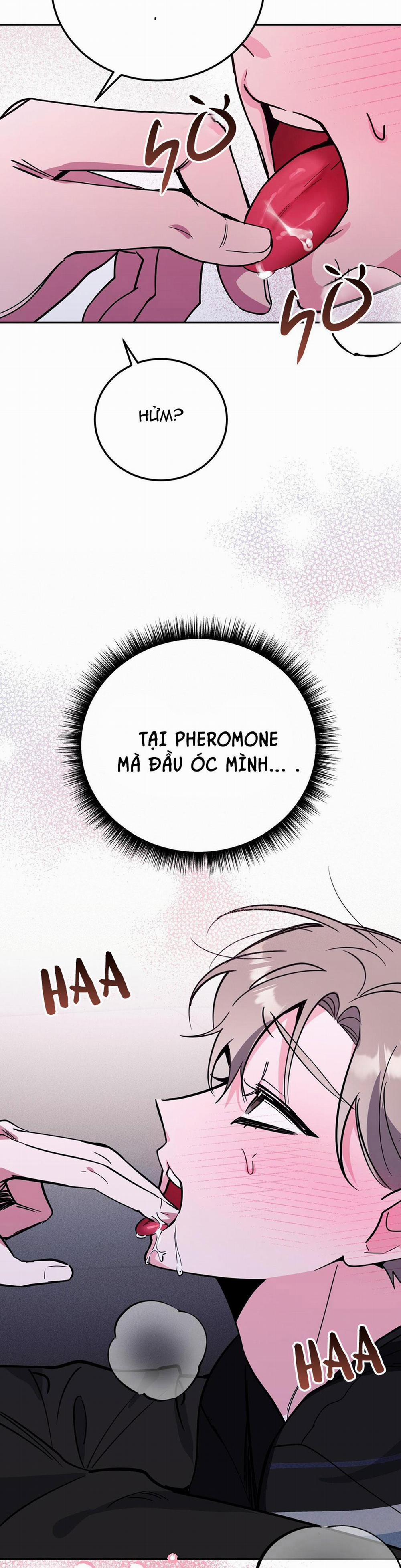 Cạm Bẫy Đại Học 43 trang 23