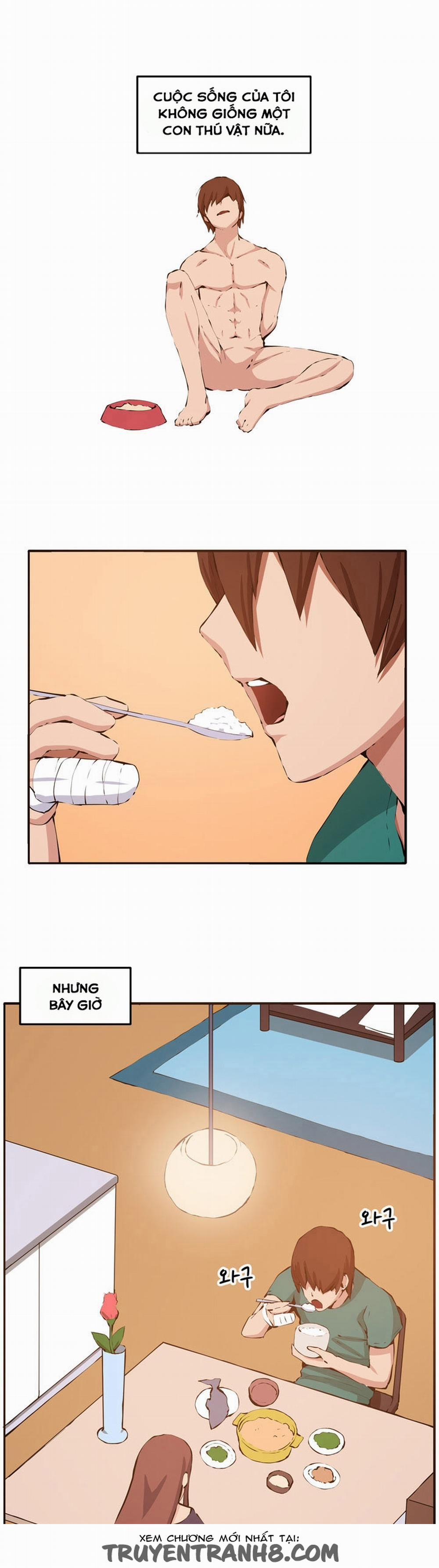 Cạm Bẫy - Venus Mantrap 12 trang 21