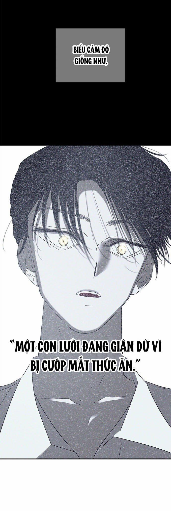 Cạm Bẫy 192.1 trang 13