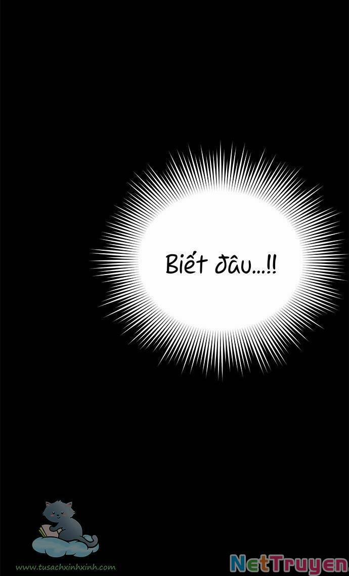 Cạm Bẫy 41 trang 49