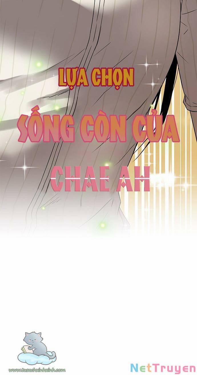 Cạm Bẫy 44 trang 3