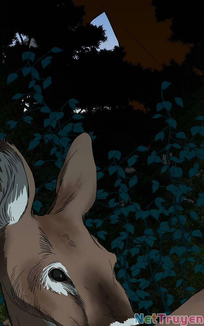 Cạm Bẫy 59 trang 67