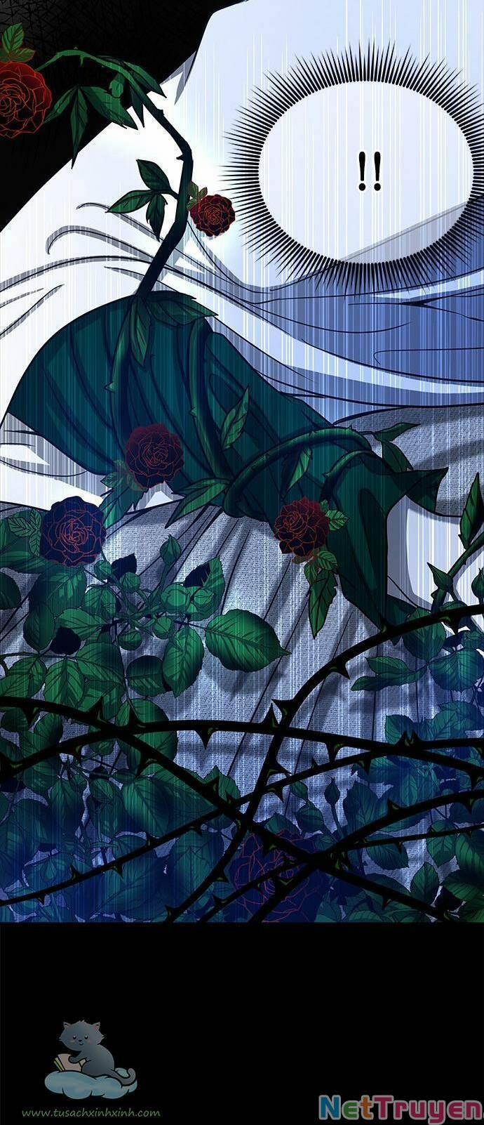 Cạm Bẫy 77 trang 43