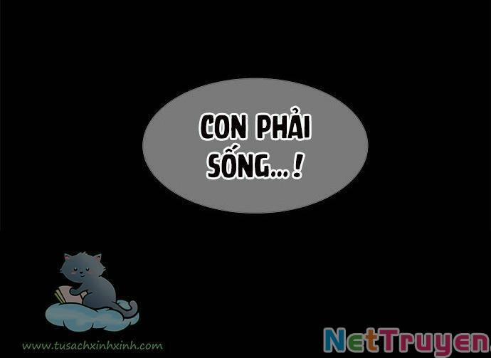 Cạm Bẫy 82 trang 114