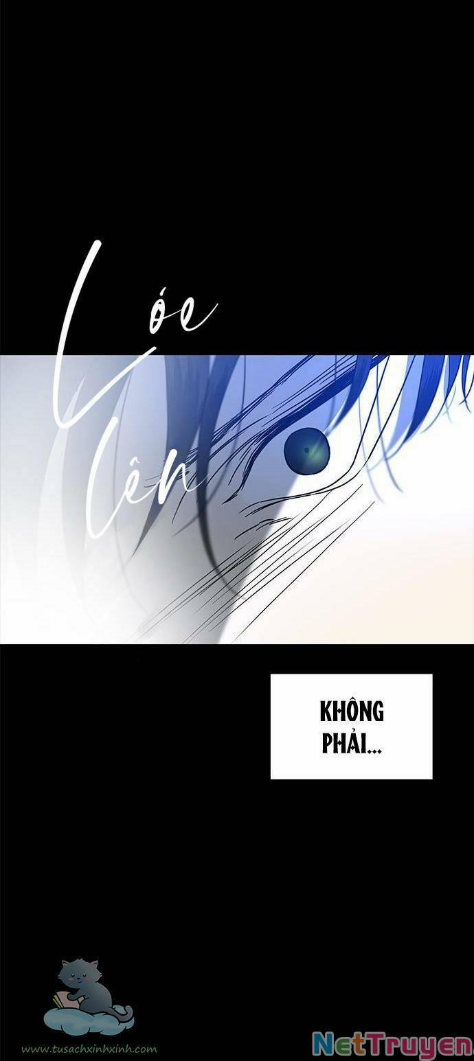 Cạm Bẫy 91 trang 28