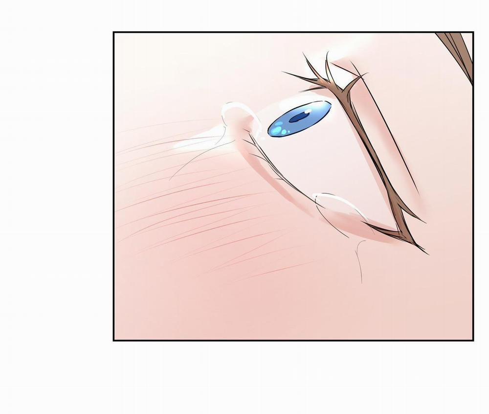 Camboy Bunny 10 trang 42