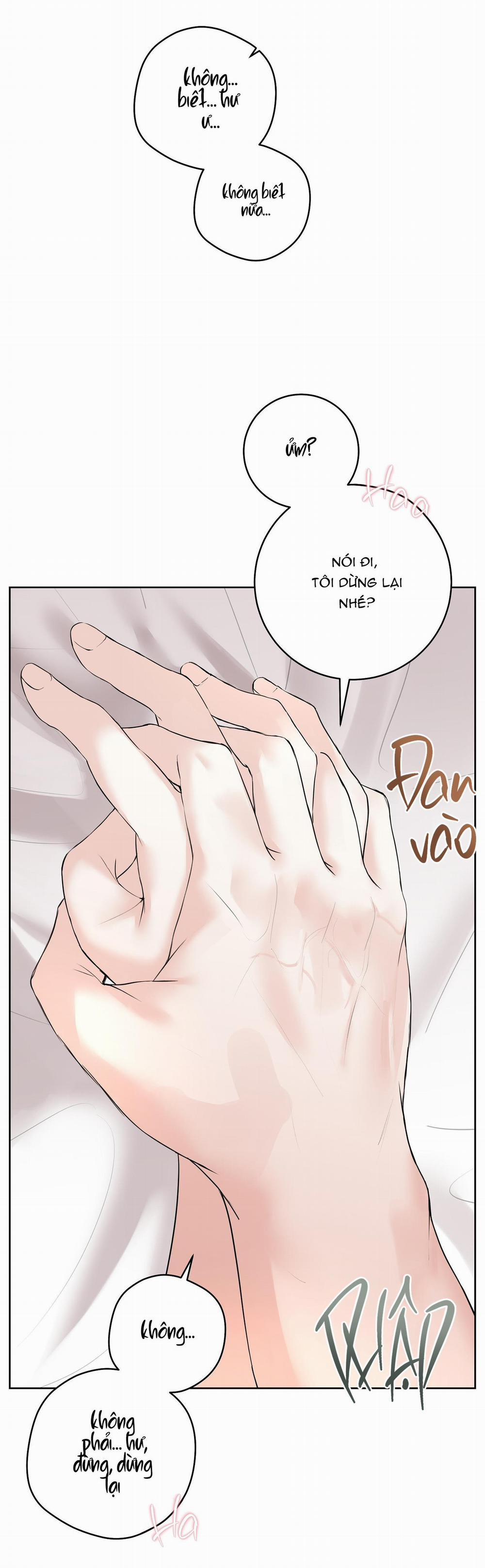 Camboy Bunny 11 trang 5