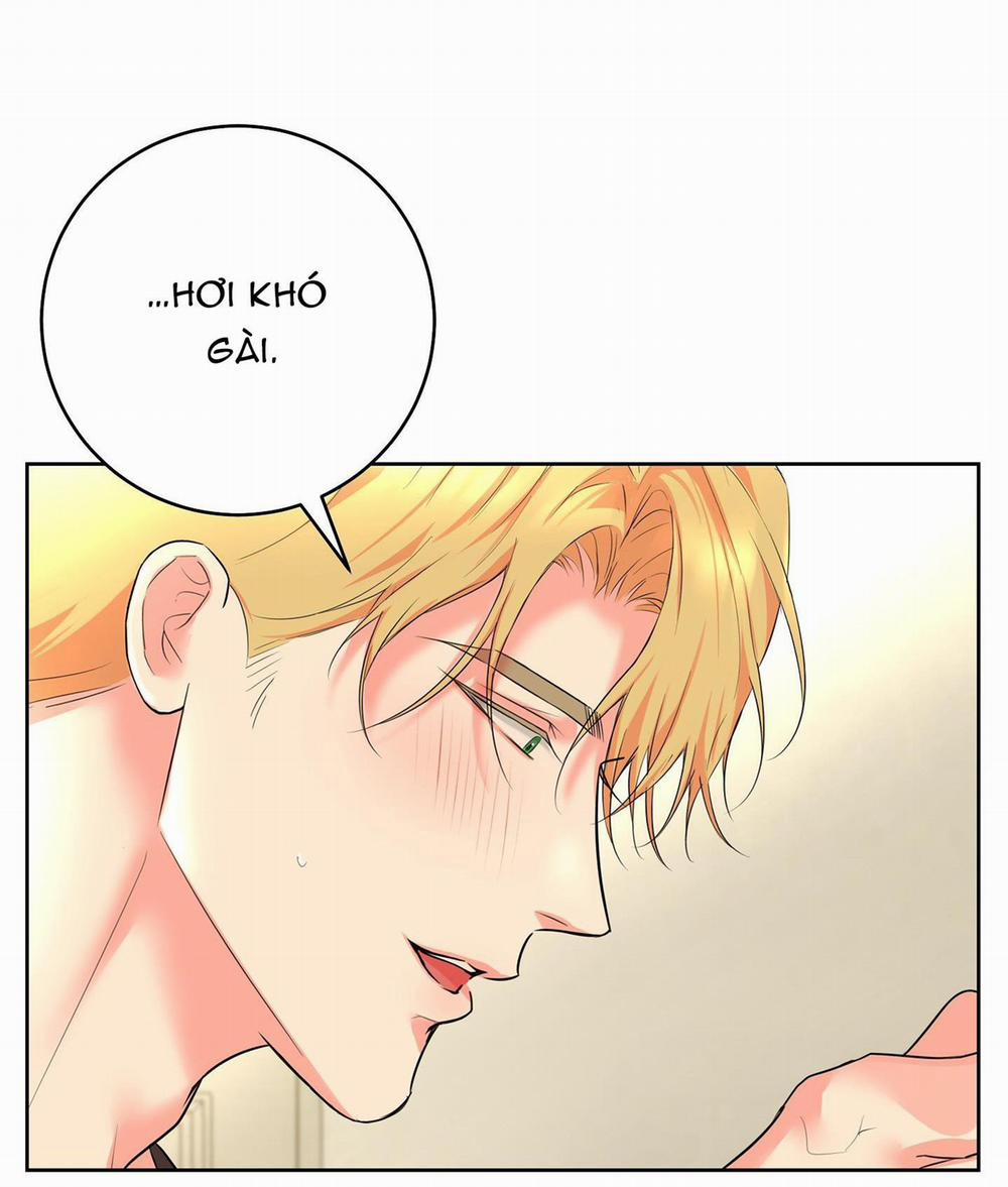 Camboy Bunny 17 trang 25