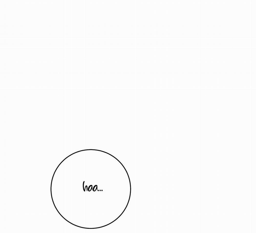 Camboy Bunny 17 trang 40