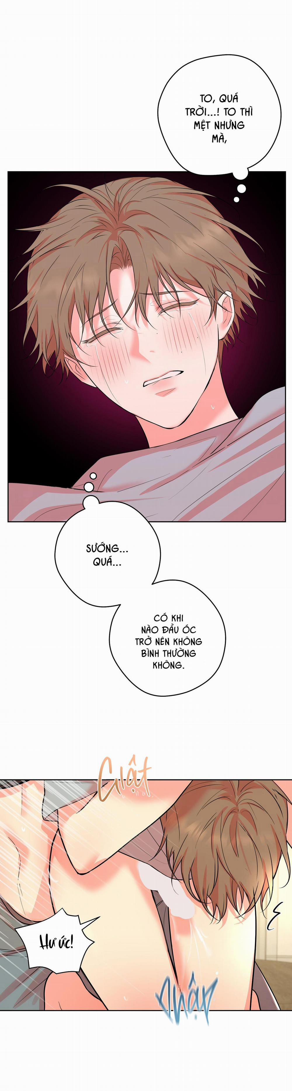 Camboy Bunny 18 trang 5