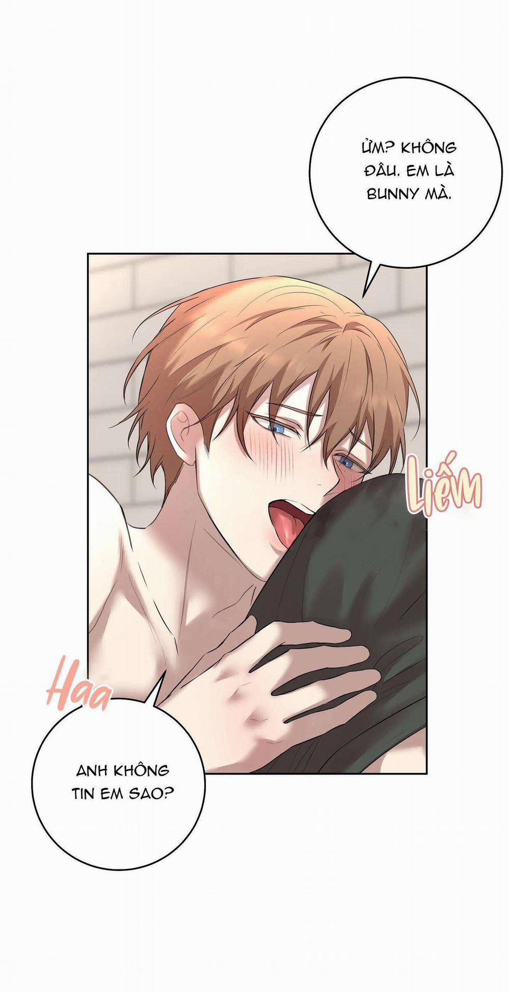 Camboy Bunny 21 trang 51