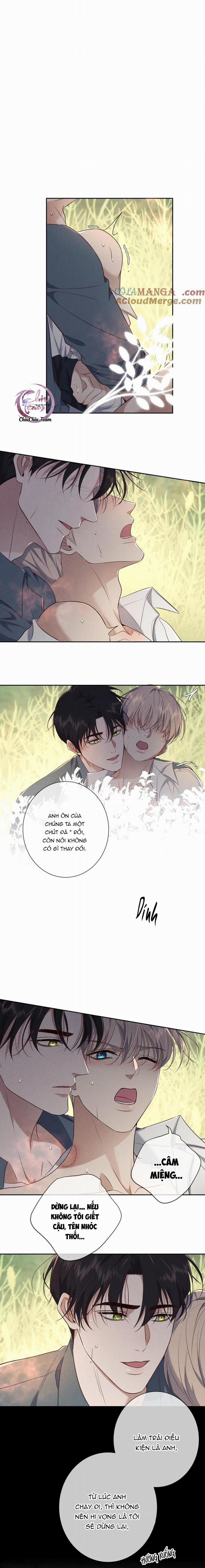 Cạn Tình 17 trang 8