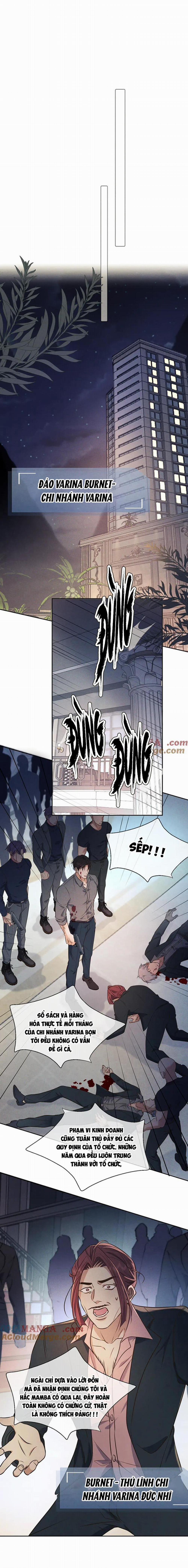 Cạn Tình 18 trang 8